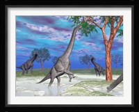 Brachiosaurus dinosaurs grazing on trees Fine Art Print