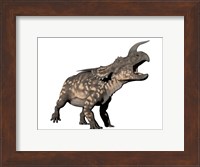 Einiosaurus dinosaur, white background Fine Art Print