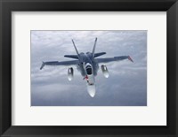Front View of F/A-18 Hornet of the Finnish Air Force Fine Art Print