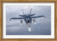 Front View of F/A-18 Hornet of the Finnish Air Force Fine Art Print