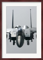 Close View of F-15E Strike Eagle of the US Air Force Fine Art Print