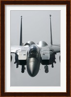 Close View of F-15E Strike Eagle of the US Air Force Fine Art Print