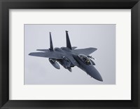 F-15E Strike Eagle of the US Air Force Fine Art Print