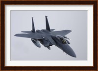 F-15E Strike Eagle of the US Air Force Fine Art Print
