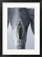 F-16 Fighting Falcon of the Portugese Air Force Fine Art Print