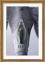 F-16 Fighting Falcon of the Portugese Air Force Fine Art Print