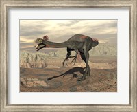 Gigantoraptor dinosaur walking  on rocky terrain Fine Art Print