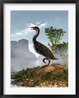 Hesperornis on the shore of a lake looking around Fine Art Print
