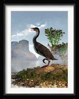 Hesperornis on the shore of a lake looking around Fine Art Print