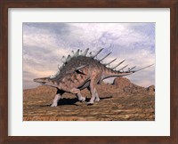 Kentrosaurus dinosaur walking in the desert Fine Art Print