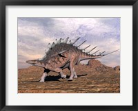 Kentrosaurus dinosaur walking in the desert Fine Art Print