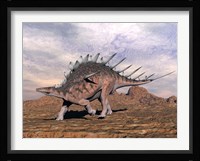 Kentrosaurus dinosaur walking in the desert Fine Art Print