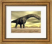 Large Argentinosaurus dinosaur face to face with a human Fine Art Print