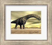 Large Argentinosaurus dinosaur face to face with a human Fine Art Print