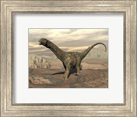 Large Argentinosaurus dinosaur walking on rocky terrain Fine Art Print