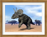 Three Nedoceratops in the desert by daylight Fine Art Print