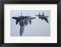 Two  F-15E Strike Eagle of the US Air Force Fine Art Print