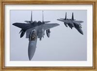 Two  F-15E Strike Eagle of the US Air Force Fine Art Print