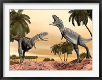 Two Aucasaurus dinosaurs fighting in desert Fine Art Print