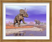Two Nedoceratops next to water in a colorful rocky landscape Fine Art Print