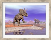 Two Nedoceratops next to water in a colorful rocky landscape Fine Art Print