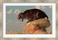 A Smilodon sits on a rock surrounded by golden fall fields Fine Art Print