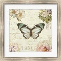 Marche de Fleurs Butterfly II Fine Art Print