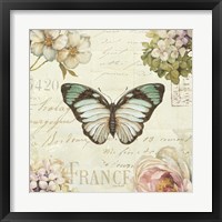 Marche de Fleurs Butterfly II Framed Print