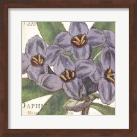 Purple Floral Fine Art Print