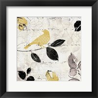 Plume and Motif I Fine Art Print