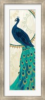 Proud as a Peacock IV Fine Art Print