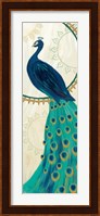 Proud as a Peacock IV Fine Art Print