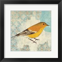 Pine Warbler Fine Art Print