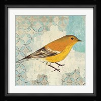 Pine Warbler Fine Art Print