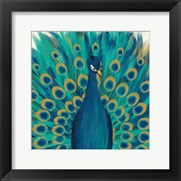 Proud as a Peacock I Fine Art Print