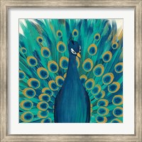Proud as a Peacock I Fine Art Print