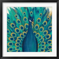 Proud as a Peacock I Framed Print