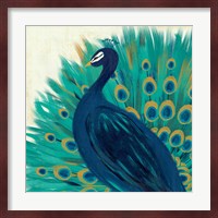 Proud as a Peacock II Fine Art Print