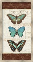 Papillons I Fine Art Print