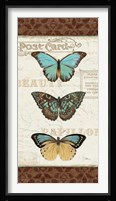 Papillons II Framed Print