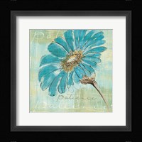 Spa Daisies II Framed Print
