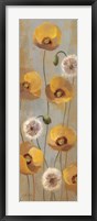 Spring Poppies II Framed Print