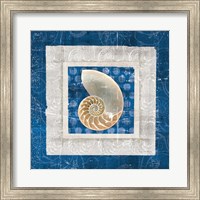 Sea Shell II on Blue Fine Art Print