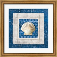 Sea Shell III on Blue Fine Art Print