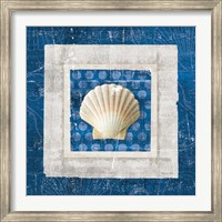 Sea Shell III on Blue Fine Art Print
