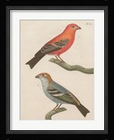 Sylvains II Framed Print