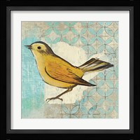 Wilsons Warbler II Fine Art Print