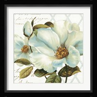 White Floral Bliss II Framed Print