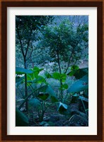 Temple Garden, Fengdu, Chongqing Province, China Fine Art Print