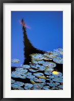 Lily Pond and Temple Reflection in Blue, China Fine Art Print